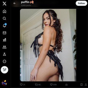 Puffin ASMR
