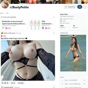 Reddit Busty Petite