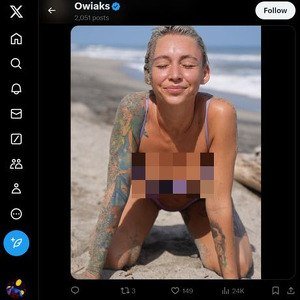 Owiaks