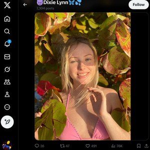 Dixie Lynn