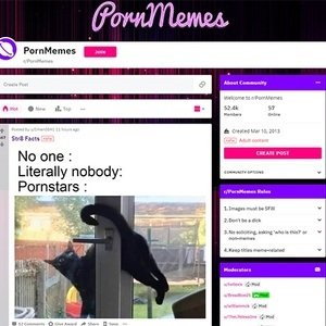 Reddit Porn Memes
